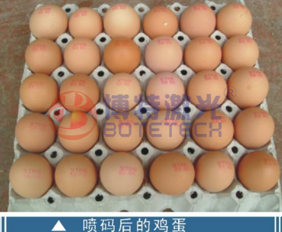 雞蛋可以用激光噴碼機(jī)嗎？